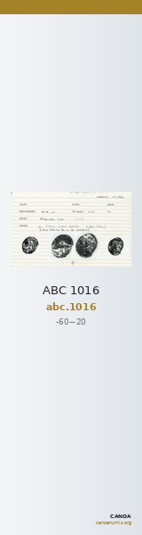 ABC 1016 — CANOA
