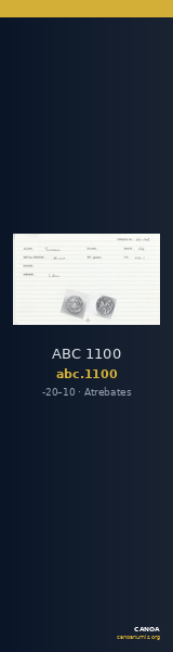 ABC 1100 — CANOA