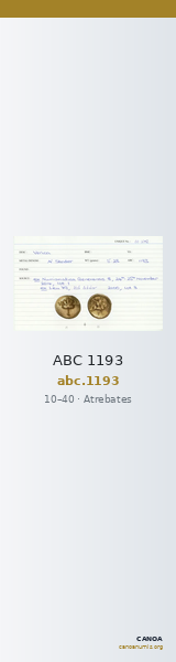 ABC 1193 — CANOA