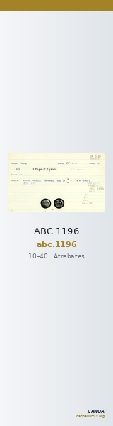 ABC 1196 — CANOA