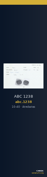 ABC 1238 — CANOA