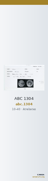 ABC 1304 — CANOA