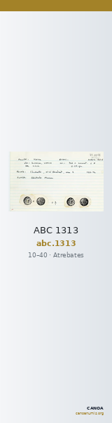ABC 1313 — CANOA
