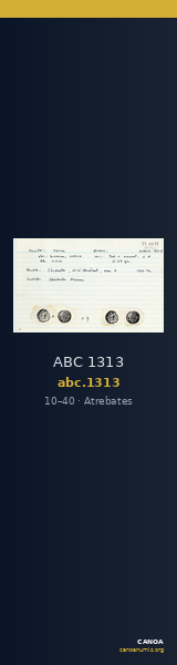 ABC 1313 — CANOA