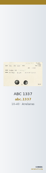 ABC 1337 — CANOA