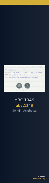 ABC 1349 — CANOA
