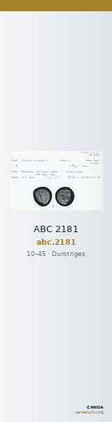 ABC 2181 — CANOA