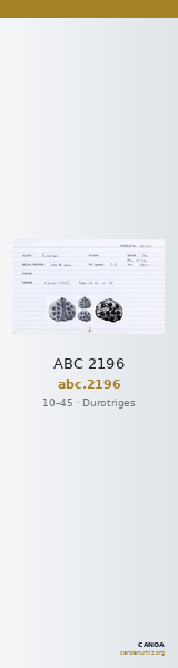ABC 2196 — CANOA