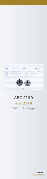 ABC 2199 — CANOA
