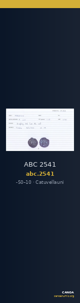 ABC 2541 — CANOA