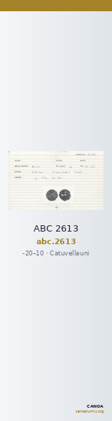 ABC 2613 — CANOA