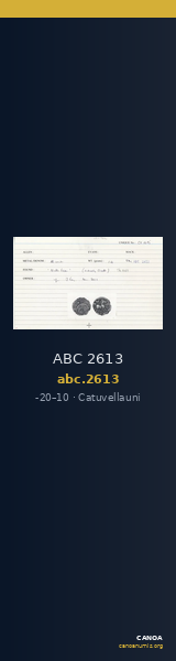 ABC 2613 — CANOA