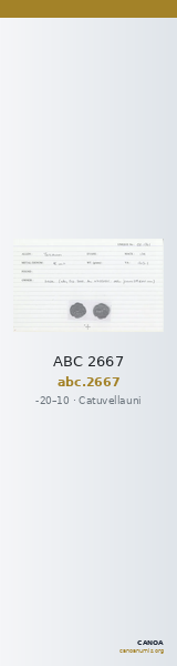 ABC 2667 — CANOA