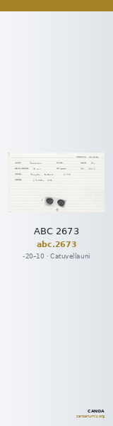 ABC 2673 — CANOA
