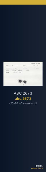 ABC 2673 — CANOA