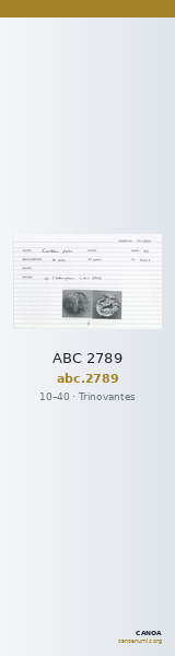 ABC 2789 — CANOA