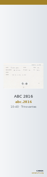 ABC 2816 — CANOA