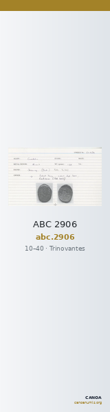 ABC 2906 — CANOA