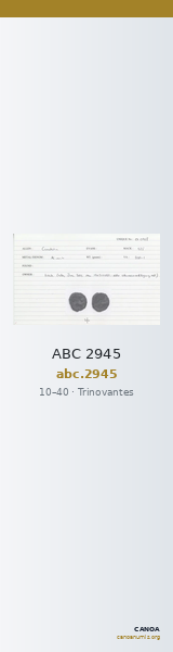 ABC 2945 — CANOA