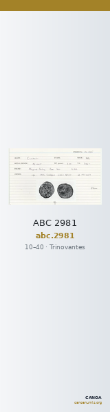 ABC 2981 — CANOA