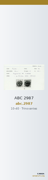 ABC 2987 — CANOA
