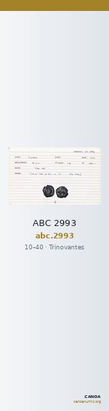 ABC 2993 — CANOA