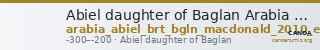 Abiel daughter of Baglan Arabia MacDonald 2010 E — CANOA