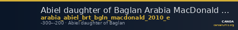 Abiel daughter of Baglan Arabia MacDonald 2010 E — CANOA
