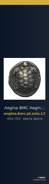 Aegina BMC Aegina pl. XXIV, 12 — CANOA