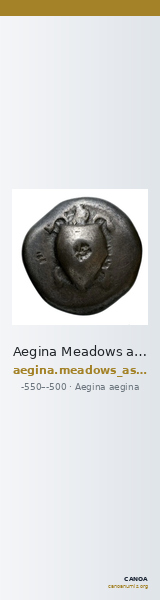 Aegina Meadows and Askari, forthcoming 1a — CANOA