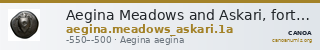 Aegina Meadows and Askari, forthcoming 1a — CANOA