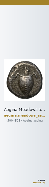 Aegina Meadows and Askari, forthcoming 1b — CANOA