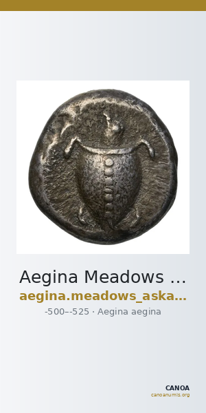 Aegina Meadows and Askari, forthcoming 1b — CANOA