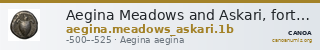 Aegina Meadows and Askari, forthcoming 1b — CANOA