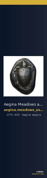 Aegina Meadows and Askari, forthcoming 3a — CANOA