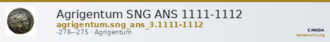 Agrigentum SNG ANS 1111-1112 — CANOA