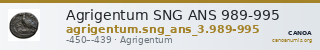 Agrigentum SNG ANS 989-995 — CANOA