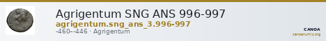 Agrigentum SNG ANS 996-997 — CANOA