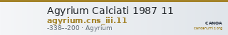 Agyrium Calciati 1987 11 — CANOA