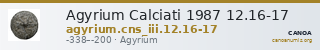 Agyrium Calciati 1987 12.16-17 — CANOA