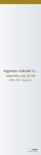 Agyrium Calciati 1987 18 — CANOA