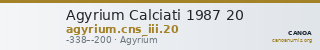 Agyrium Calciati 1987 20 — CANOA