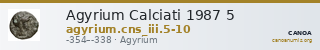 Agyrium Calciati 1987 5 — CANOA