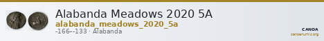 Alabanda Meadows 2020 5A — CANOA