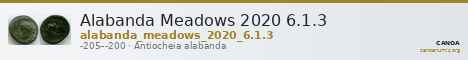 Alabanda Meadows 2020 6.1.3 — CANOA