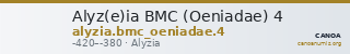 Alyz(e)ia BMC (Oeniadae) 4 — CANOA