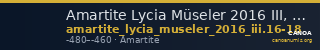 Amartite Lycia Müseler 2016 III, 16-18 — CANOA