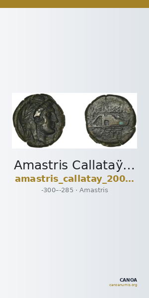 Amastris Callataÿ 2004 Bronze 1-2 — CANOA