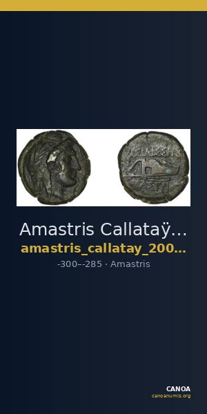 Amastris Callataÿ 2004 Bronze 1-2 — CANOA