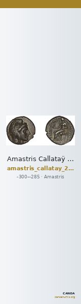 Amastris Callataÿ 2004 Group 1A — CANOA